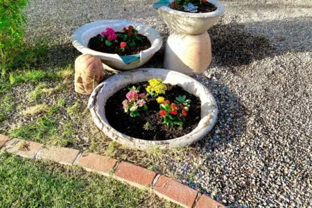 60edef32 1326 4e80 9c15 8968cda76baf