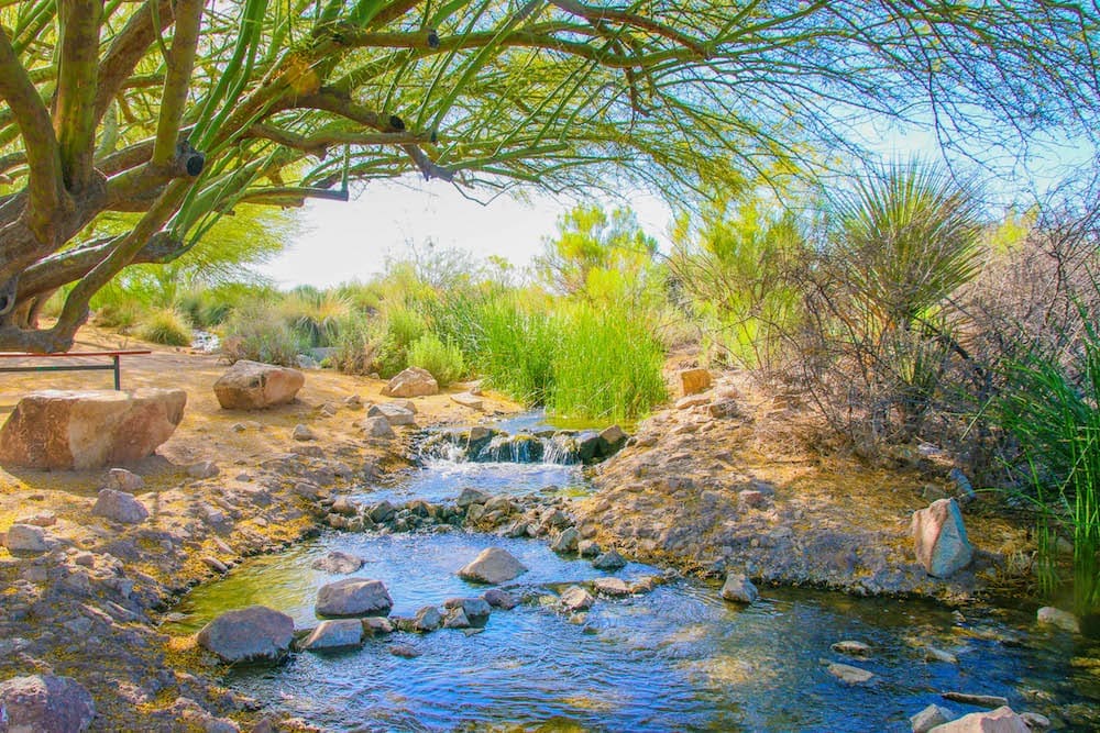 Riparian Reserve landscape 8
